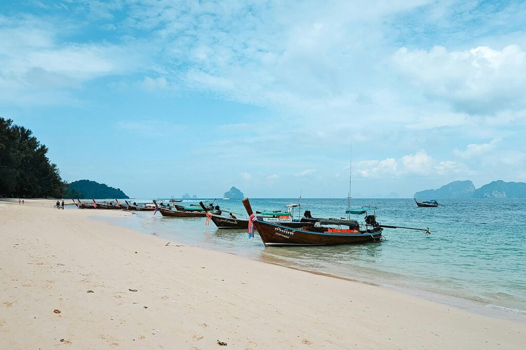 image-113